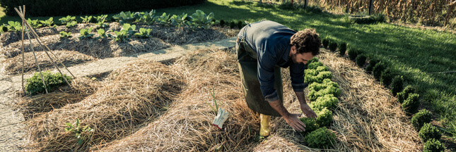 Permaculture Mettez En Place Une Butte De Culture En Lasagnes