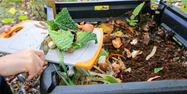 Nos déchets organiques de cuisine et de jardin valent de l'or !
