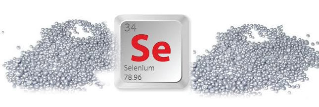 Le sélénium, l’oligo-élément préventif