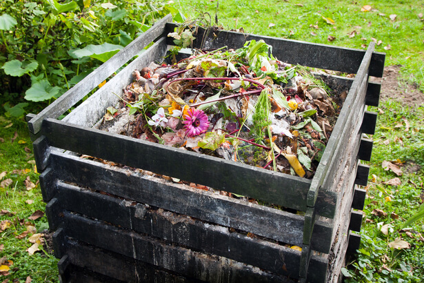 Pourquoi Et Comment Recycler Les Déchets Organiques