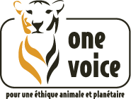 Logo_One_voice1.png