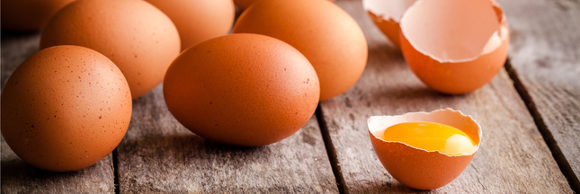 Comment ramasser et nettoyer les œufs de poule ?