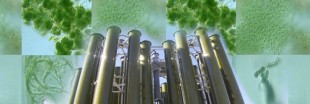 Acta Alga révolutionne le biocarburant de micro-algues