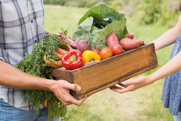 Les bienfaits des légumes — La Récolte