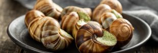 Vrais faux produits artisanaux - Après le plombier, l'escargot polonais