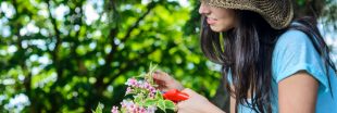 Soins naturels : cultivez votre beauté... avec les fleurs de votre jardin