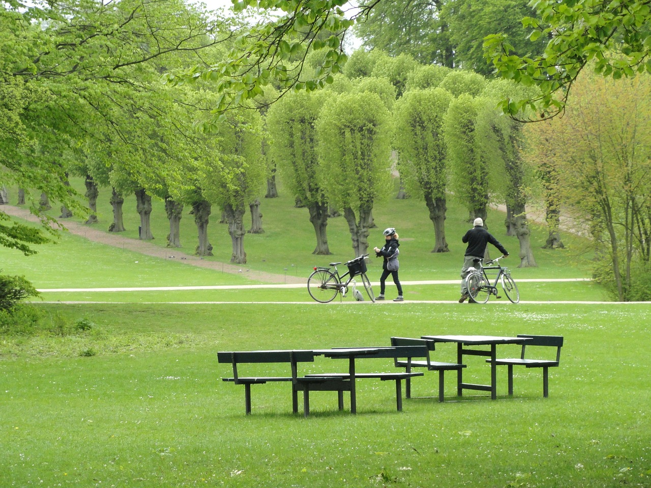 Les parcs sont nombreux dans la ville de Copenhague, qui donne la part belle aux cyclistes