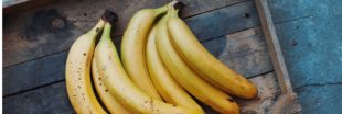 La banane, victime d'un champignon ravageur, n'a pas la pêche