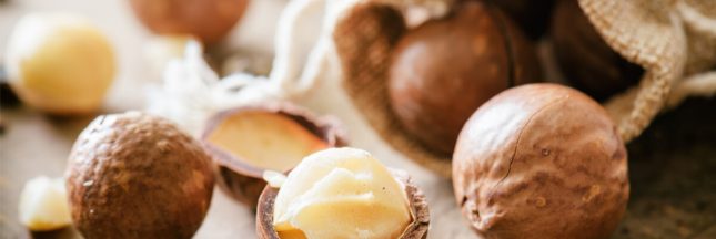 noix de macadamia bio santé bienfaits