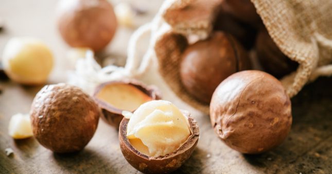 La noix de macadamia, l'anti-cholestérol par excellence