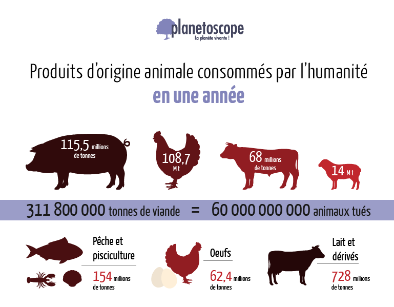 Consommation mondiale de viande