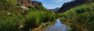 Le Rio Aguas en danger d'extinction : signez la pétition