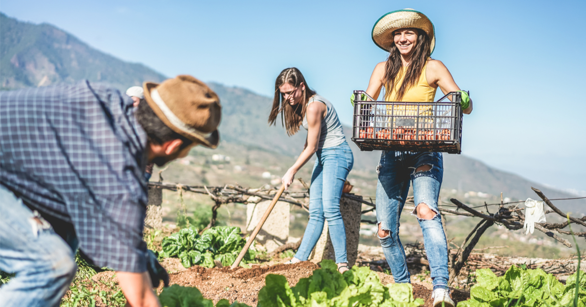 WWOOF : vacances bio et utiles à la ferme sur tous les continents !