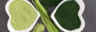 Chlorelle ou spiruline, laquelle choisir et pour quoi faire ?