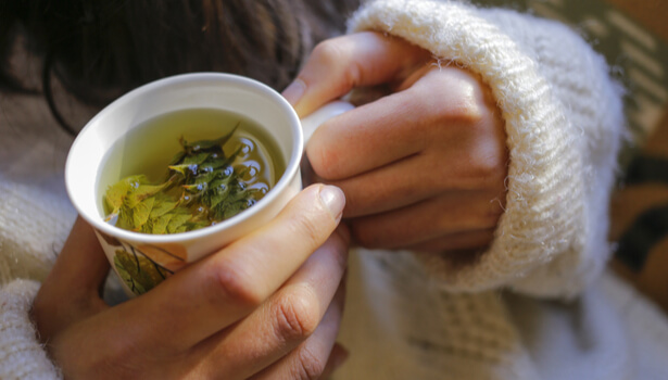 Thé, tisane, infusion : quelle différence ?