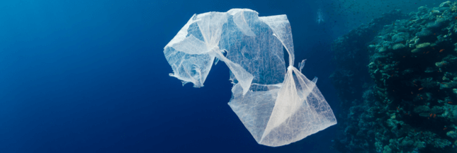 Pollution plastique des océans : l’ONU passe à l’attaque