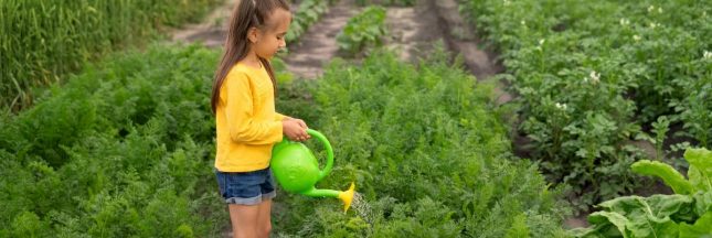 la bouillie bordelaise pour le jardin