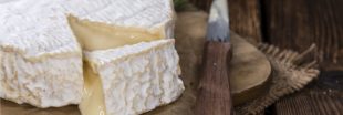 Rappels produits : lait infantile Prémibio et camembert de Normandie AOP