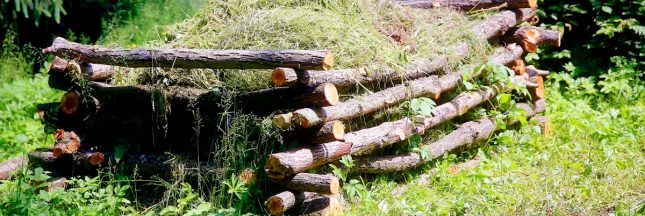 gazon pour le compost