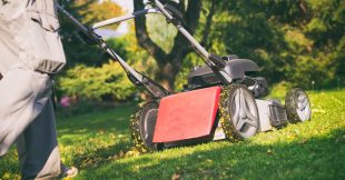 Le mulching ou comment fertiliser naturellement