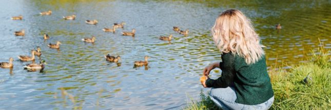 Arrêtons de nourrir les animaux sauvages