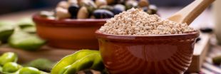 Alimentation : Faut-il bannir la lécithine de soja ?