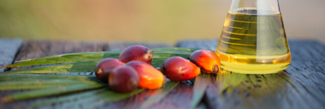 Biocarburants : Bruxelles condamne l’huile de palme mais ménage le soja