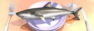 Deliveroo s'engage à ne plus livrer de plats à base de requin