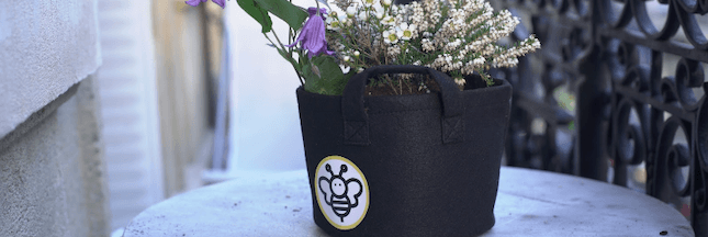 Portrait d’éco-acteur – Avec BeeBar, Coraline offre des tournées de fleurs aux abeilles