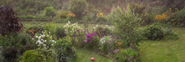 Un jardin sous la pluie