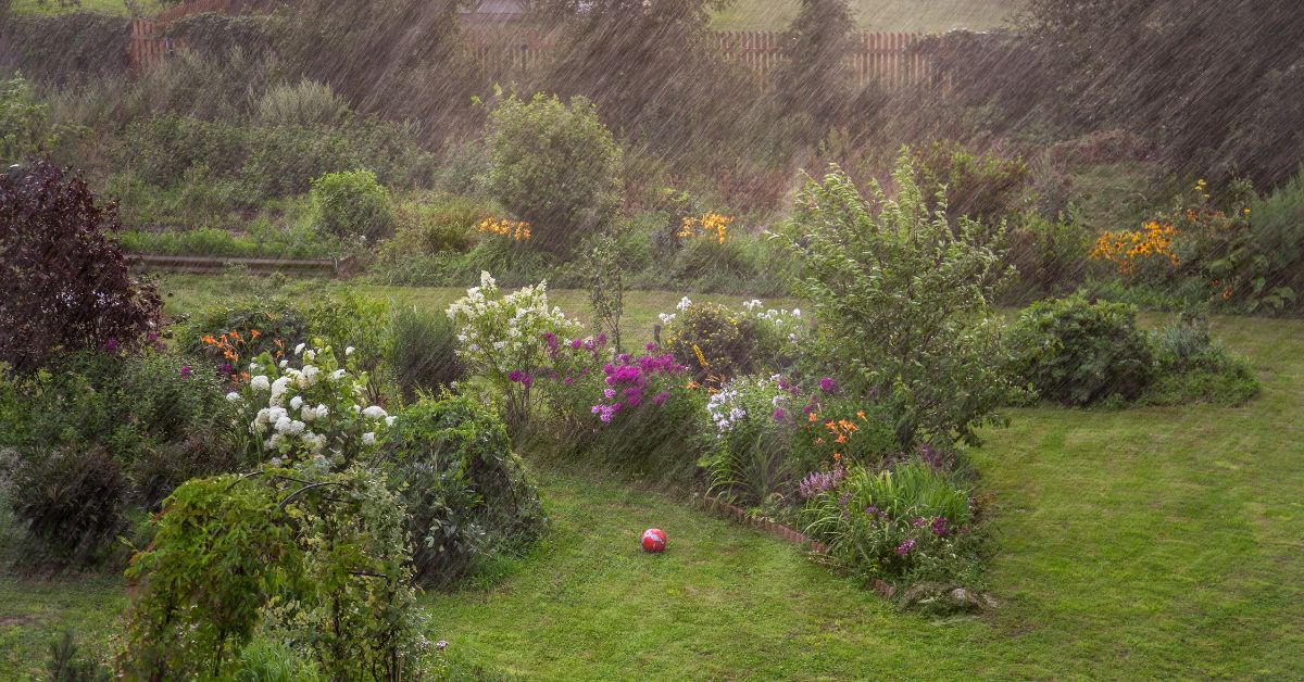 Que faire au jardin après un orage ou une tempête ?