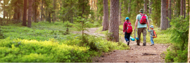 5 Ecogestes En Balade En Foret Sensibilisez Vos Enfants Tres Tot