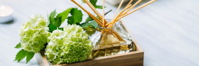 parfum d'intérieur naturel, parfum d'ambiance maison