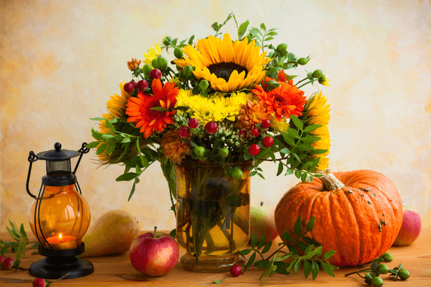 Bouquet De Saison Quelles Fleurs En Automne