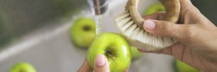 La brosse à fruits et légumes : conservez les fibres