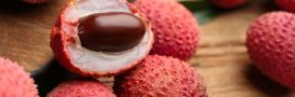 Comment faire germer un noyau de litchi ?