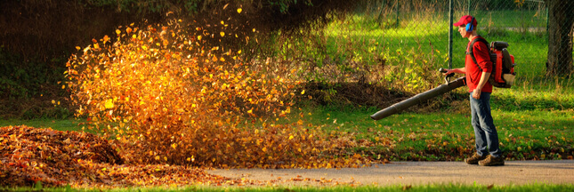 Les Souffleurs De Feuilles Un Fleau A Bannir