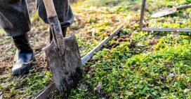 Potager : le début de l’hiver est le moment parfait pour créer une nouvelle parcelle, comment faire ?