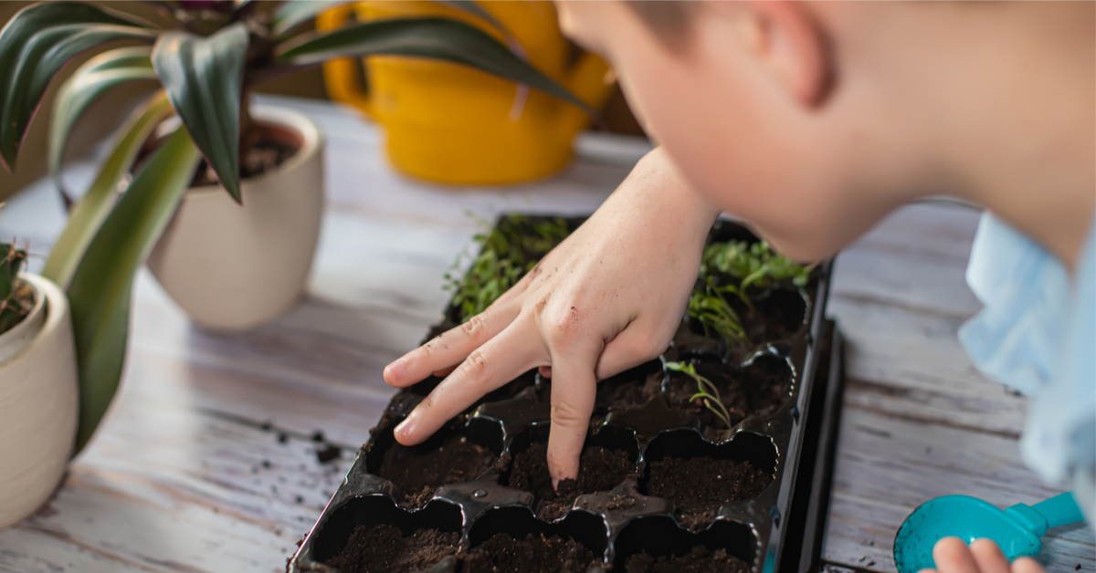 Que faire au jardin avec son enfant en hiver ?