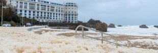 La mousse sur la plage de Biarritz enfin identifiée