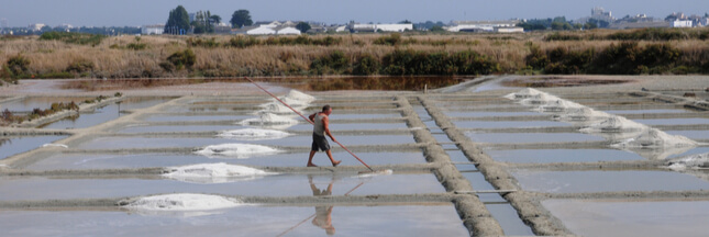 Le sel de Guérande va-t-il disparaître à cause de la pollution ?