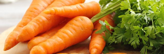 la carotte sucre bienfaits