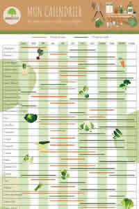 Calendrier de semis de légumes