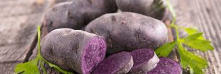 Les légumes oubliés : la pomme de terre vitelotte pour mettre de la couleur dans votre assiette