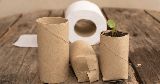 Recycler le papier toilette : 10 astuces géniales pour la maison