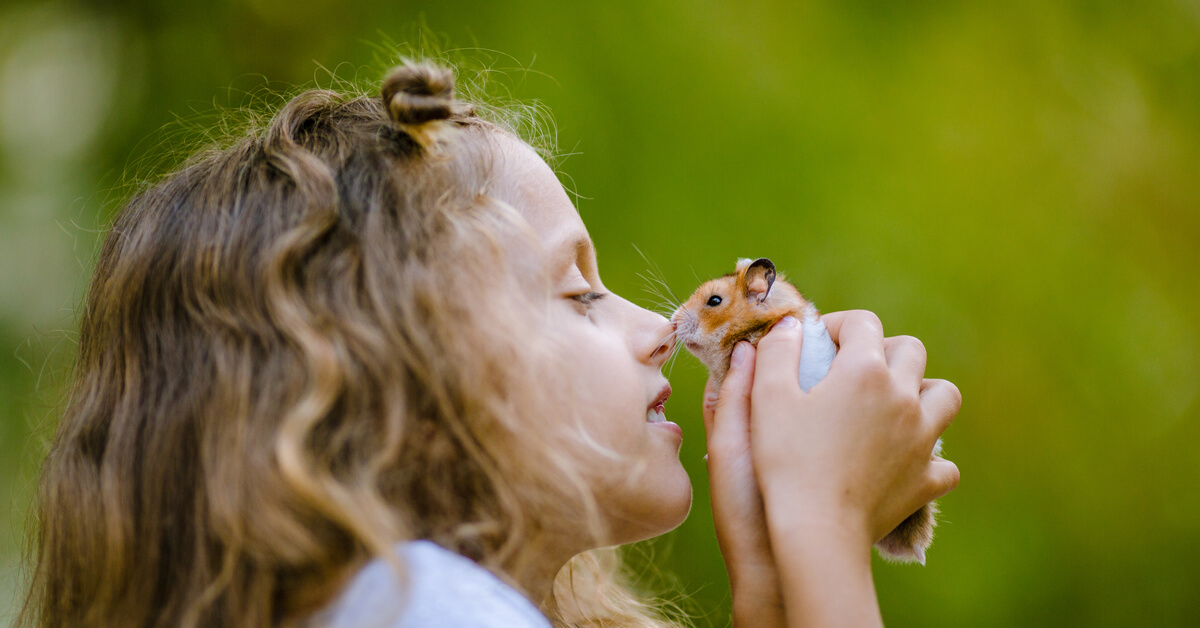 Conseils pour adopter un hamster et en prendre bien soin