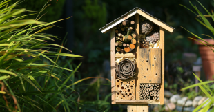 J'installe un hôtel à insectes dans mon jardin