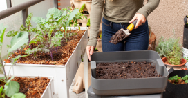 Comment faire du compost sur son balcon ?