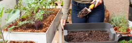 Comment faire du compost sur son balcon ?