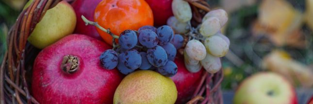 corbeille de fruit